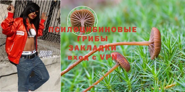 бутик Аркадак