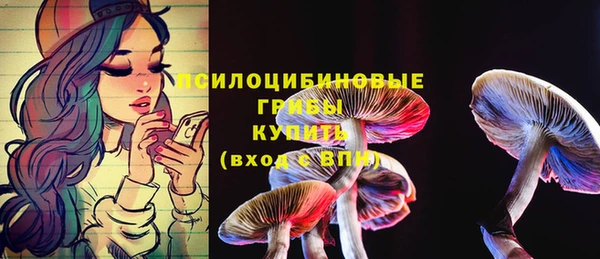 МДМА Арсеньев